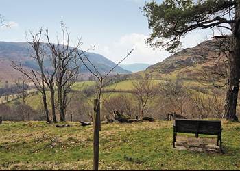 Rhiw-Y-Gog Lodge Holiday Cottage